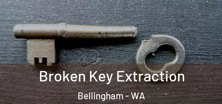 Broken Key Extraction Bellingham - WA