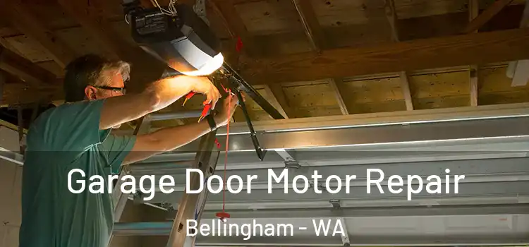  Garage Door Motor Repair Bellingham - WA