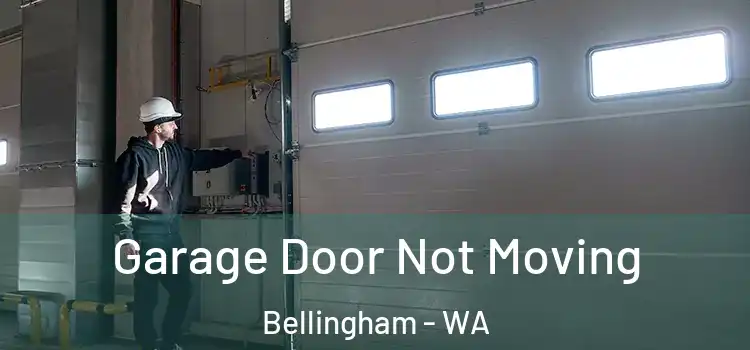  Garage Door Not Moving Bellingham - WA