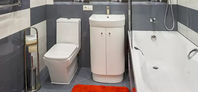 Hansgrohe Shaving Mirror Bellingham