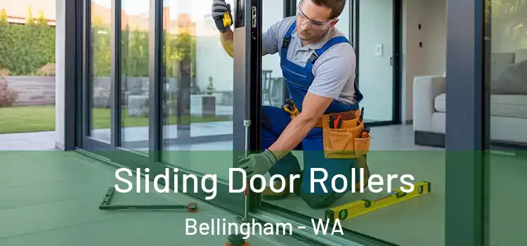 Sliding Door Rollers Bellingham - WA