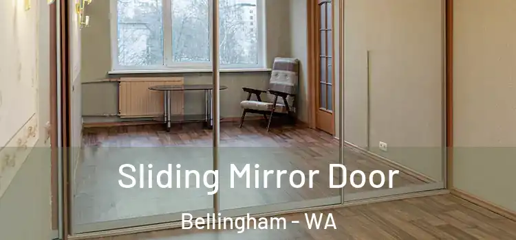  Sliding Mirror Door Bellingham - WA